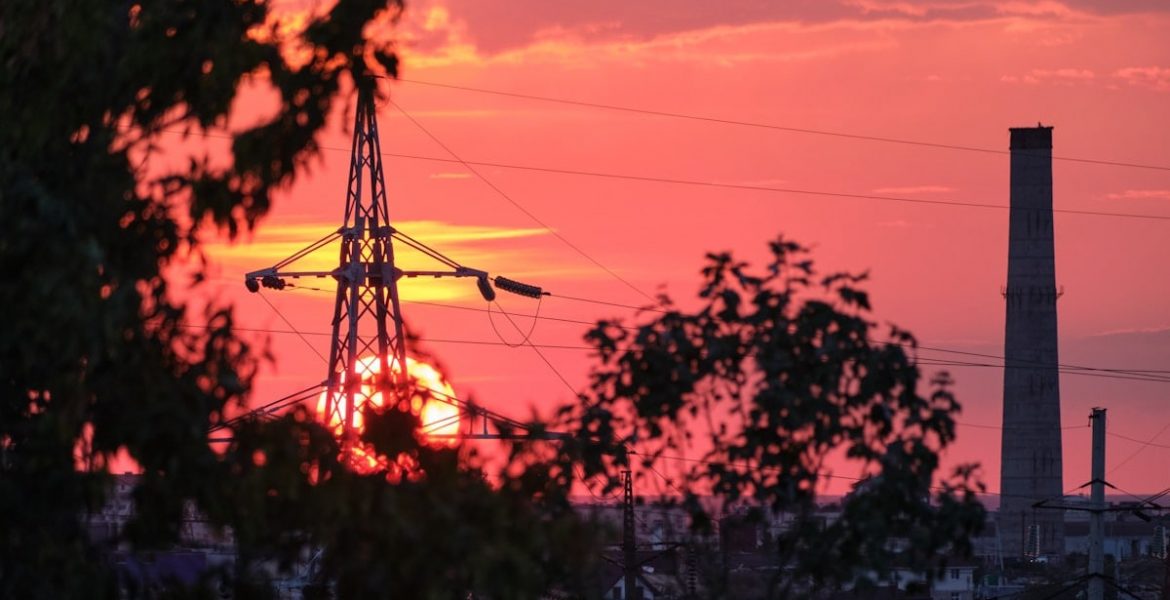 silhouette of trees during sunset
