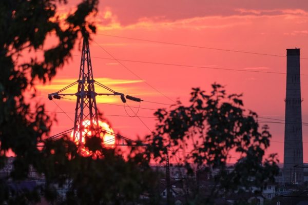 silhouette of trees during sunset